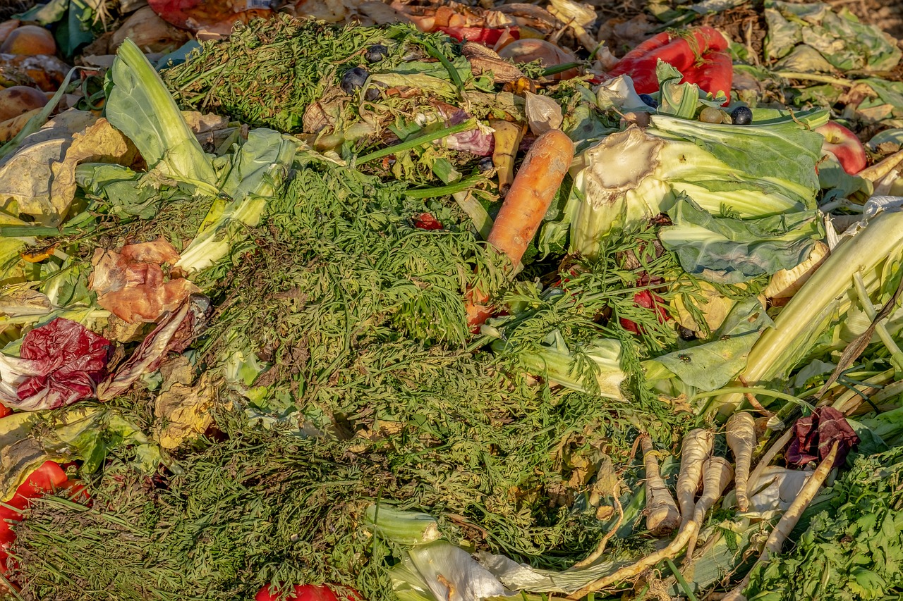 a pile of food inside a compost bin ready to be composted